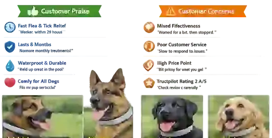 Barxbuddy BiteShield Collar Customer Reviews